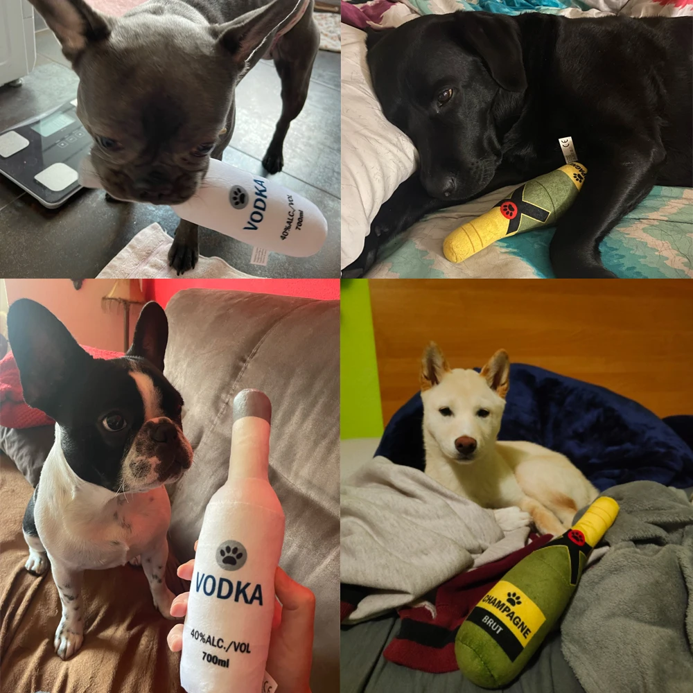 Is Vodka Safe For Dogs