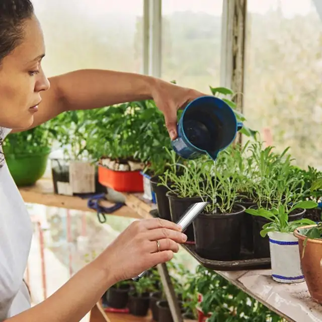 Kézi Dibber Szerszám Palánta Transzplanter Ültetési Lyukú Lyukas Lyuk Dibbler Talajkibocsátási Ásáshoz - Image 5