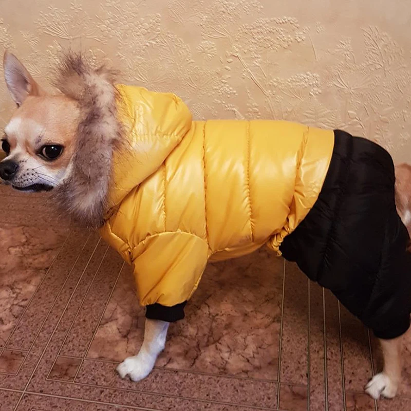 Winter Dog Clothes For Small Dogs Waterproof Dog Jacket Thicken