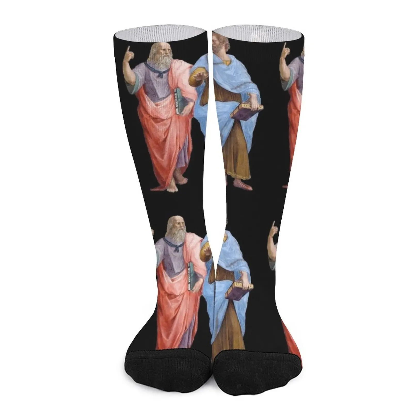 

Plato and Aristotle Socks Lots Socks female