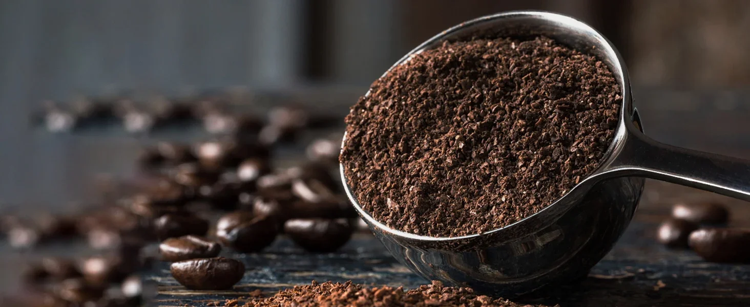 Coffee Powder