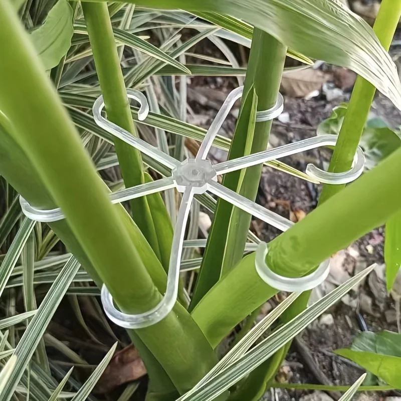 Plastic Plant Supports Plant Clips Plastic Plant Clips Plant Climbing Support Plant Stem Support Plant Support Stick Plant Support Connector Flower Stem Holder plastic plant support clips green vine climbing brackets adjustable garden plant stem clips for fixed and upright growth 4pcs