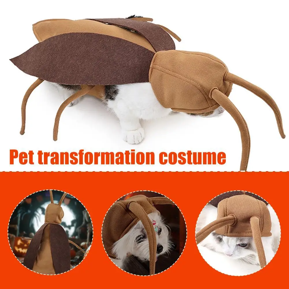 Halloween Cockroach Costume for Cats and Small Dogs 2