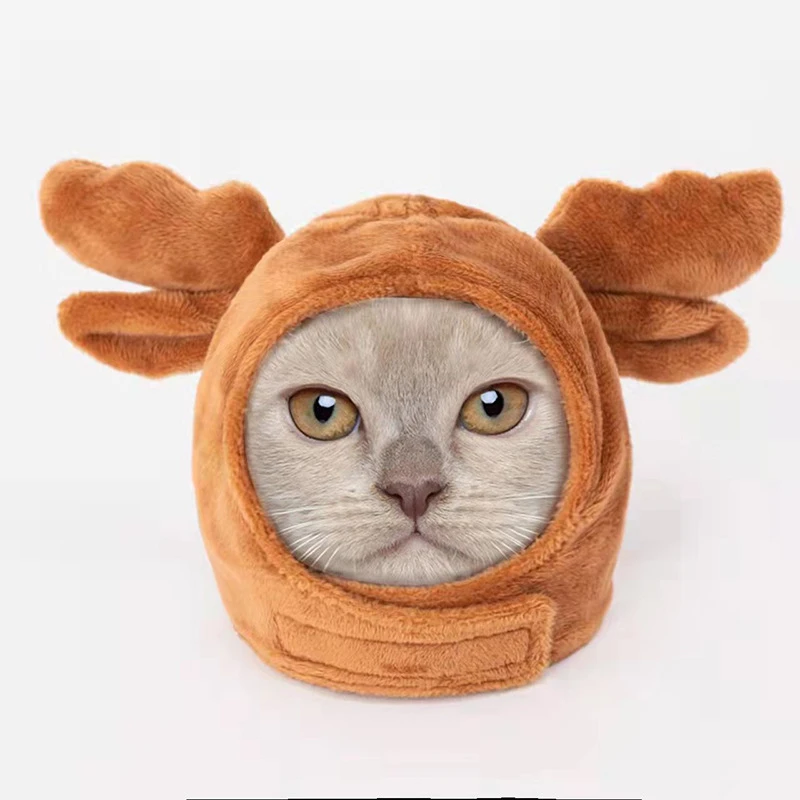 deer light