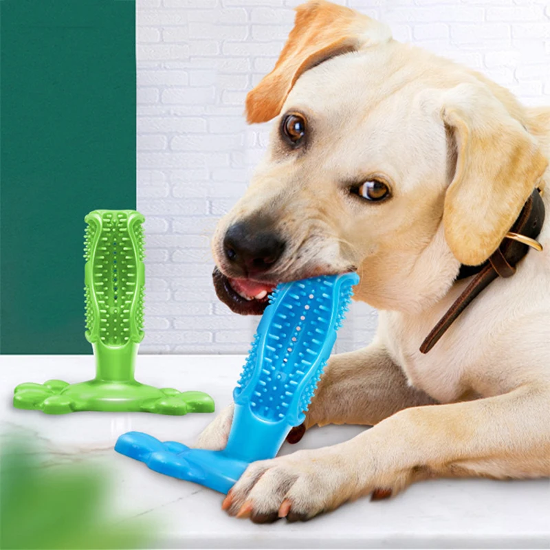 CuttieDogToysforLargeDogsToothbrushToysforSmallDogsPuppyChewToyDogSupply.jpg
