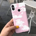 Case-c30