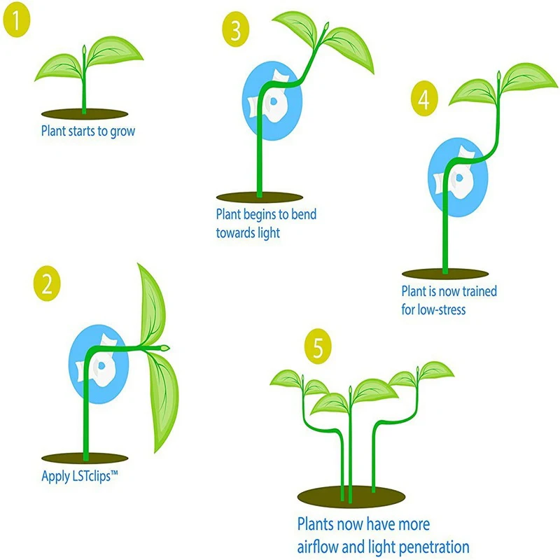 10PCS Plant Branches Bender Training Clips Stem Trainer Clips 360 Degree Adjustable Planter Holder For Low Stress Training Tool