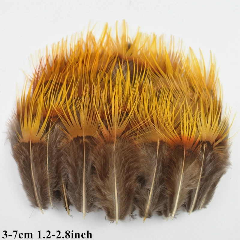 10 Piume Di Fagiano Naturali - 25-30 Cm Per Fai Da Te, Artigianato E Decorazioni