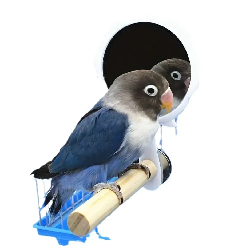 Bird Mirror Bird Toy Station Stick Cage Accessories Cross border Current Puzzle Supplies Parrot Toy