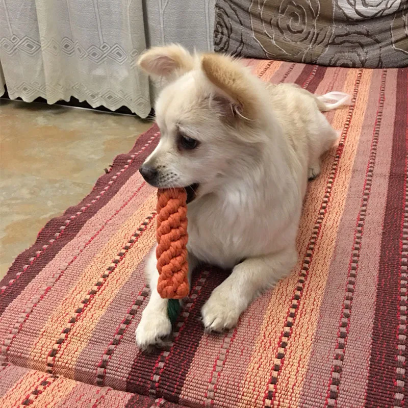 Cordes à nœuds en forme de carotte pour chiens - 2025 - Vêtement et accessoires pour chiens - Doglovedesign