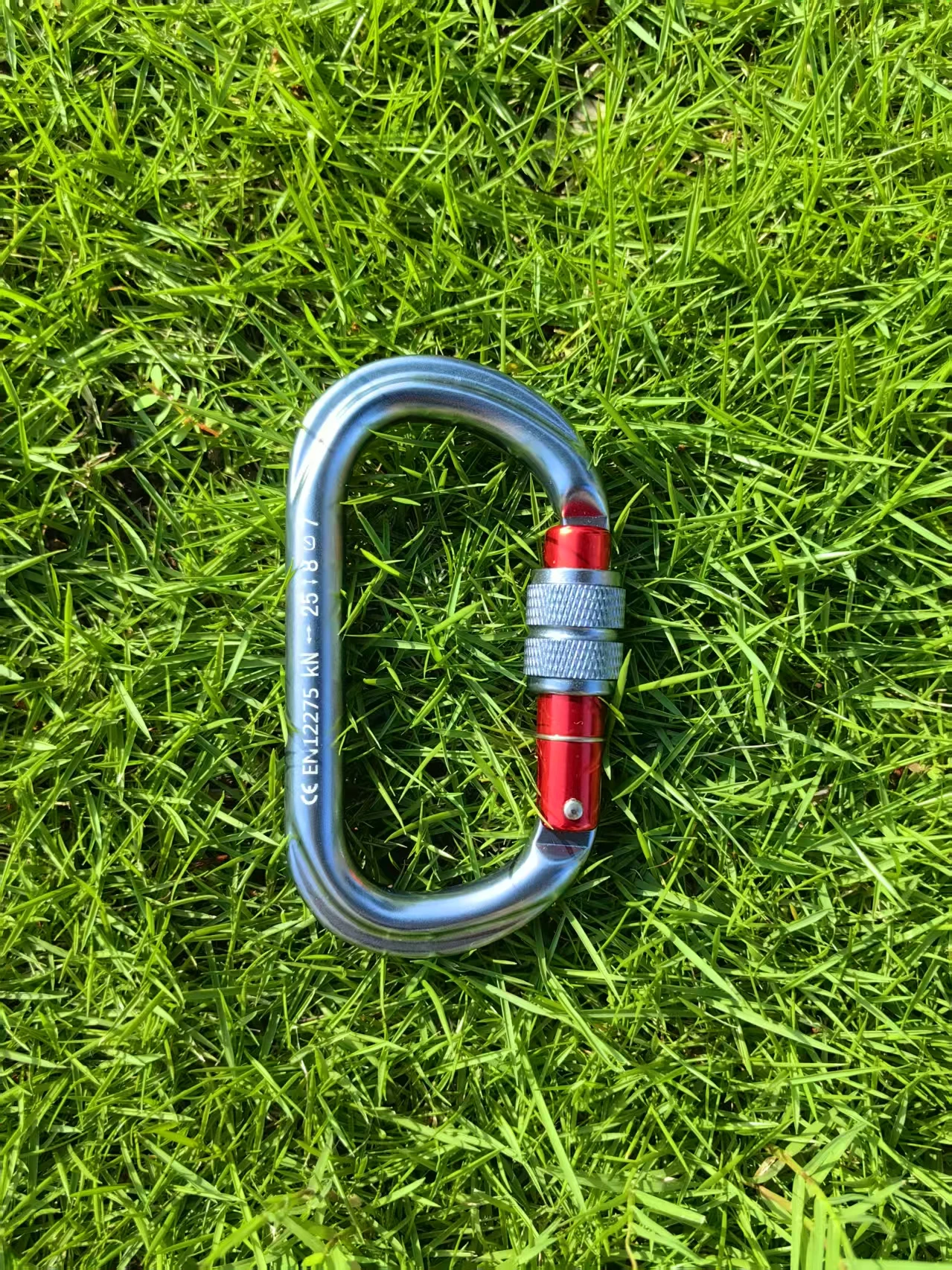 Outdoor-Karabiner, Klettern, Berg, O-Form, Landung, 25 kN Haken, Karabiner für große Höhen, Sicherheitsschnalle aus Aluminiumlegierung – Detail 6