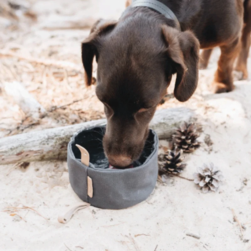 

Waterproof Dog Food Bowls and Bowls for Walking Canvas Bag with Anti-lost Hook, Portable Pet Tableware