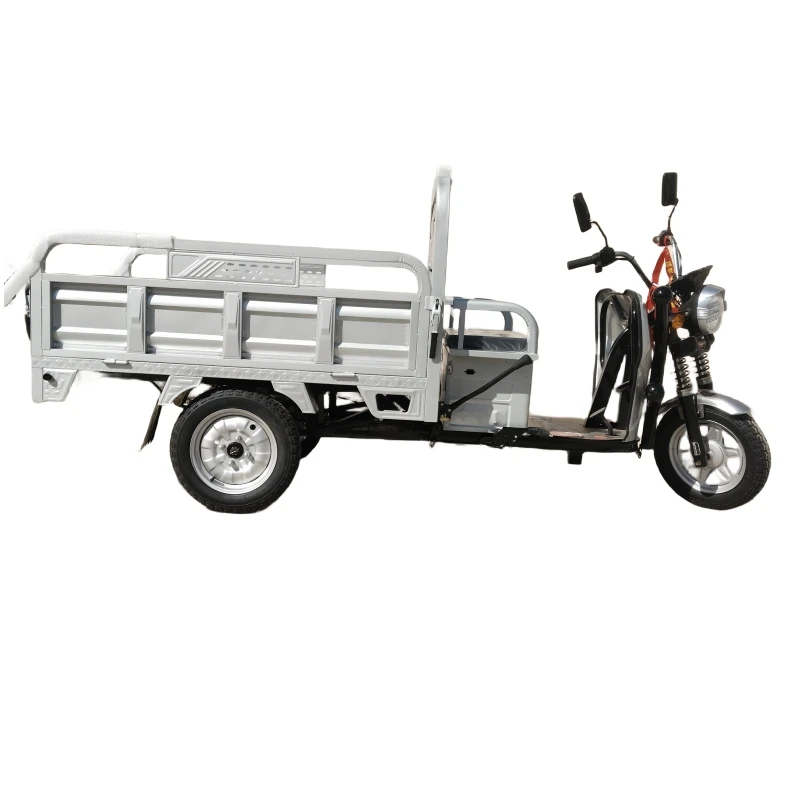 Cheaper Strong Power 3000w Tricycle Electric Three Wheel Cargo