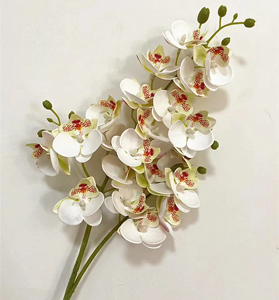 Real Touch Latex Butterfly Orchid Flowers – 21-Head Artificial Phalaenopsis Bouquet