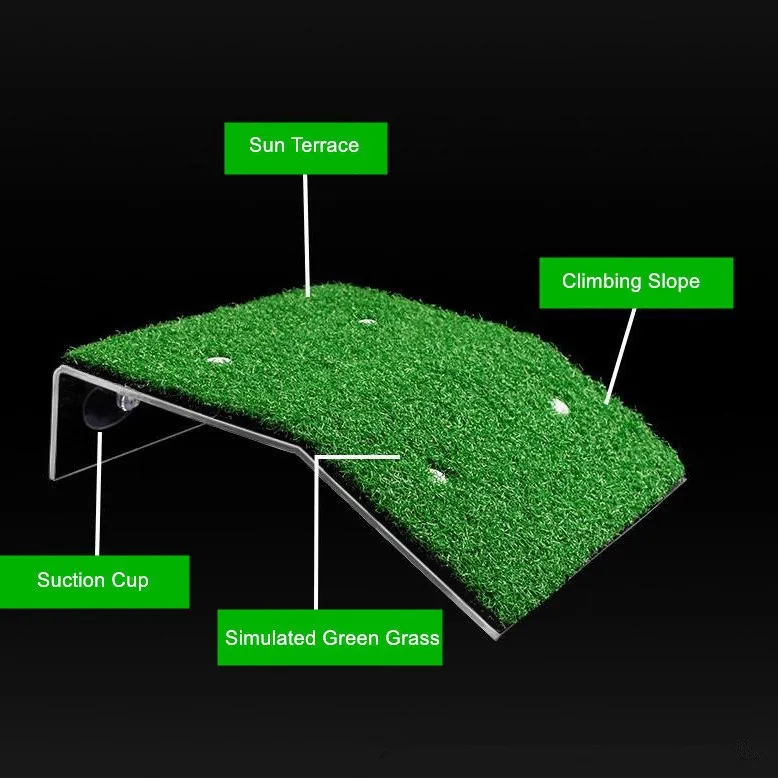 Turtle Climbing Platform with Suction Cup 4