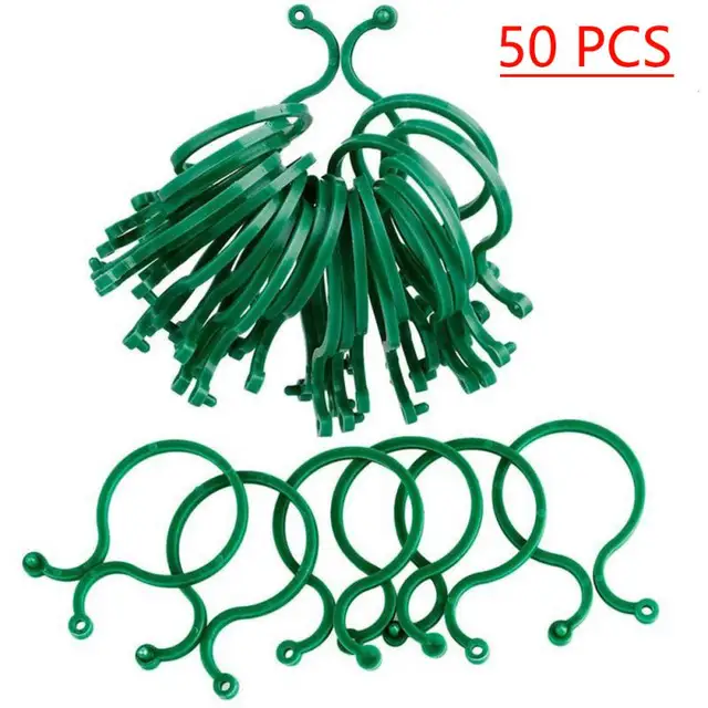 50PCS
