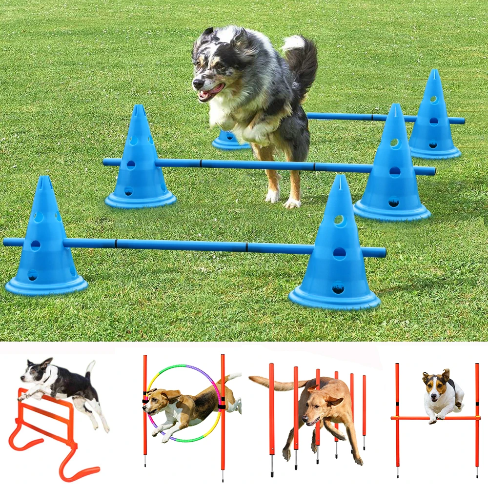 Dog Training Equipment Portable Dog Exercise Running Training Jumping