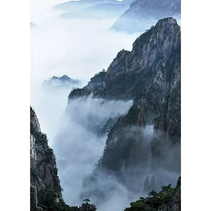 

500827-Tulip diy digital oil painting acrylic flower painting explosion hand-filled landscape painting