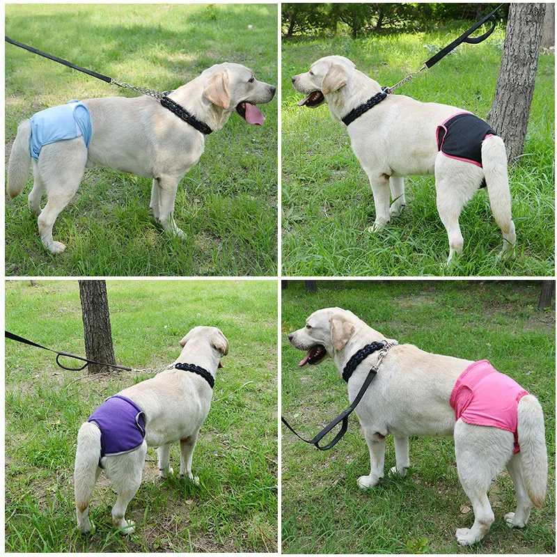 Pet Physiological Pants Diaper Washable Female Dog Panties Shorts Puppy Underwear