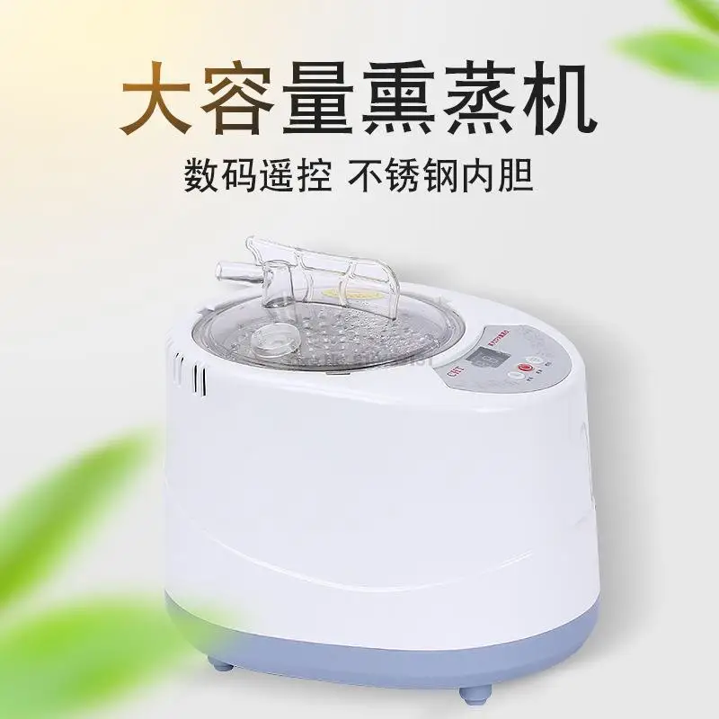 

Steam Generator 3L 1000W Upgrade Capacity Steamer Pot for Sauna Wooden Barrels Large Water Vapor Home Steamer Therapy Beauty