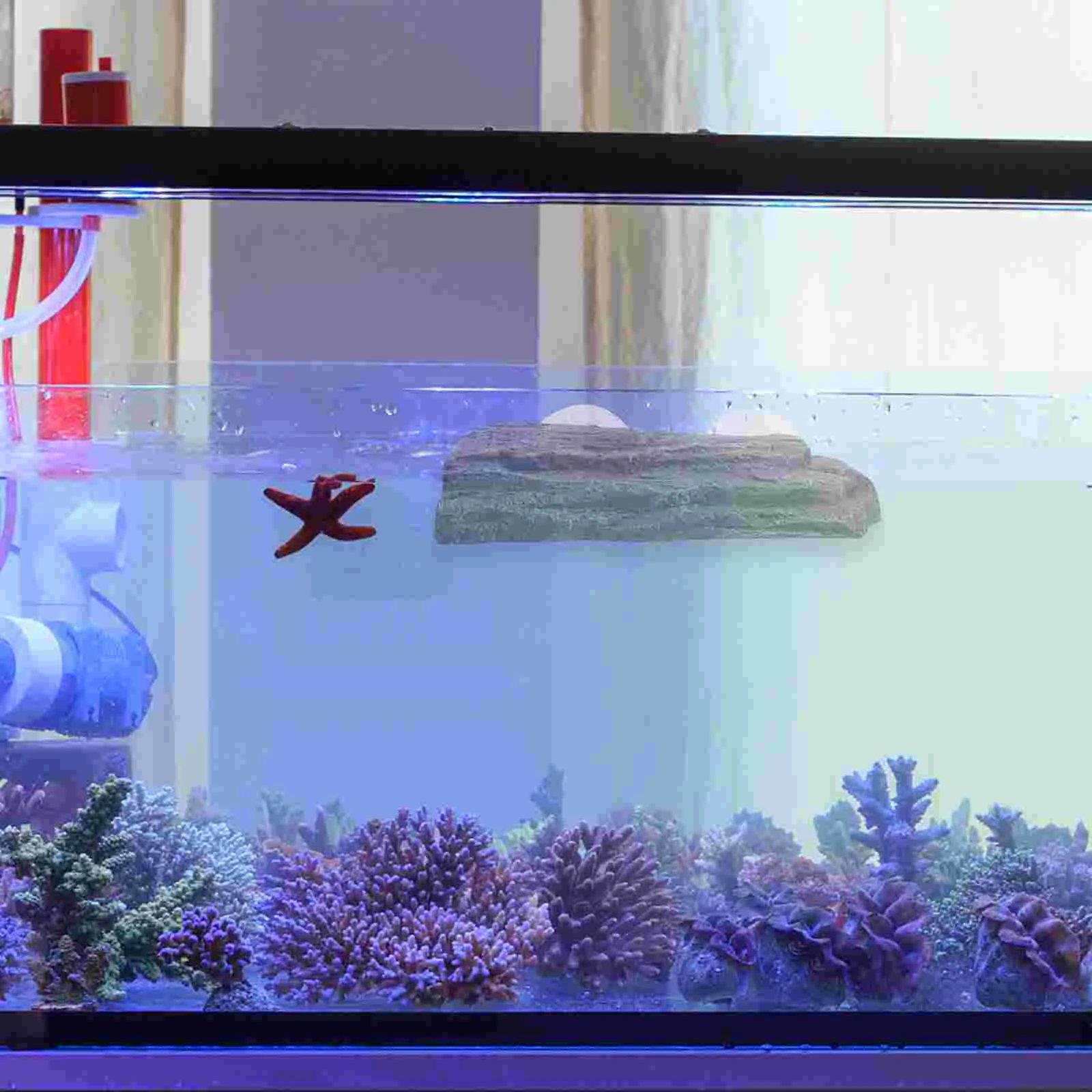 

Suction Cup Turtle Tank Landscaping Aquarium Platform Basking Resting Terrace Stone Floating Tortoise