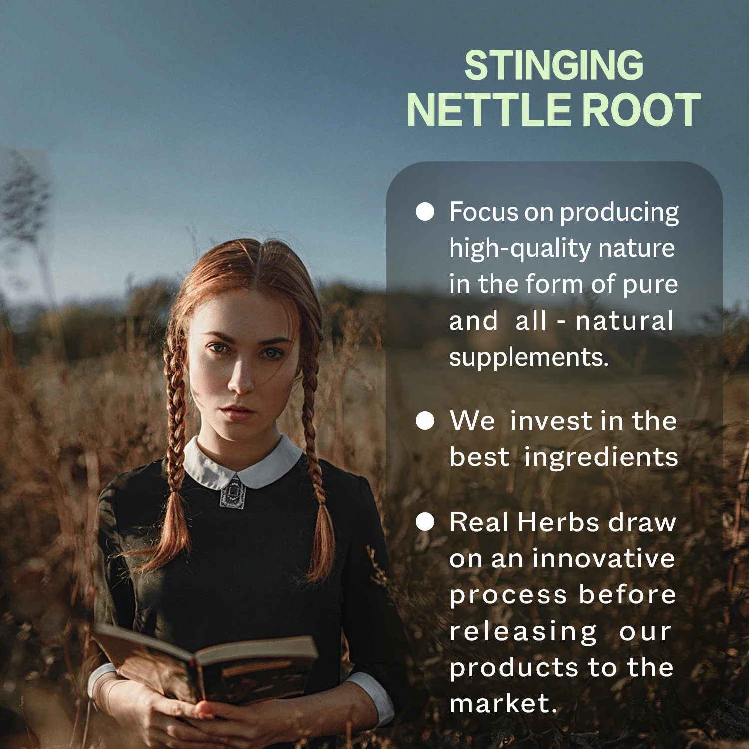 Stinging Nettle Root Extract Premium Prostate Health Support Supplement Reduce Frequent Urination Stamina