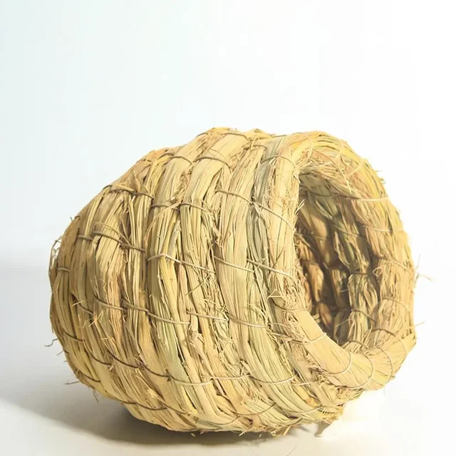 Image 9