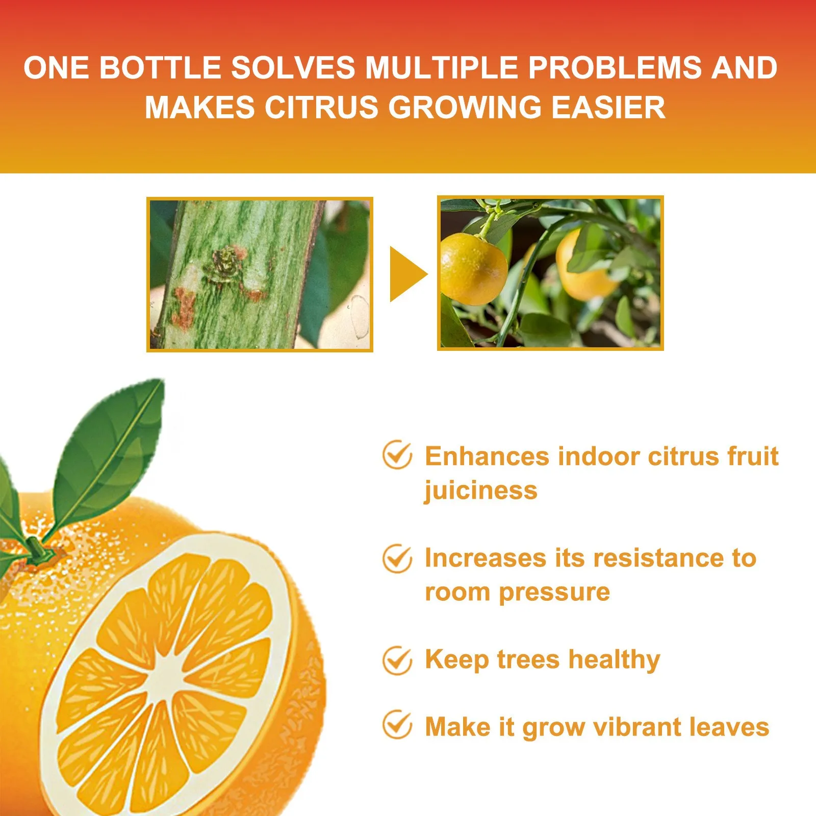 100ml MOONSPRY Citrustree Plant Fertilizer Orange Fruit Tree Plant Root Beauty Fruit Growth Nutrient Solution plant fertilizing concentrate organic fertilizer