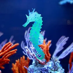 Luminous Silicone Seahorse Aquarium Decor with Suction Cups (Green)