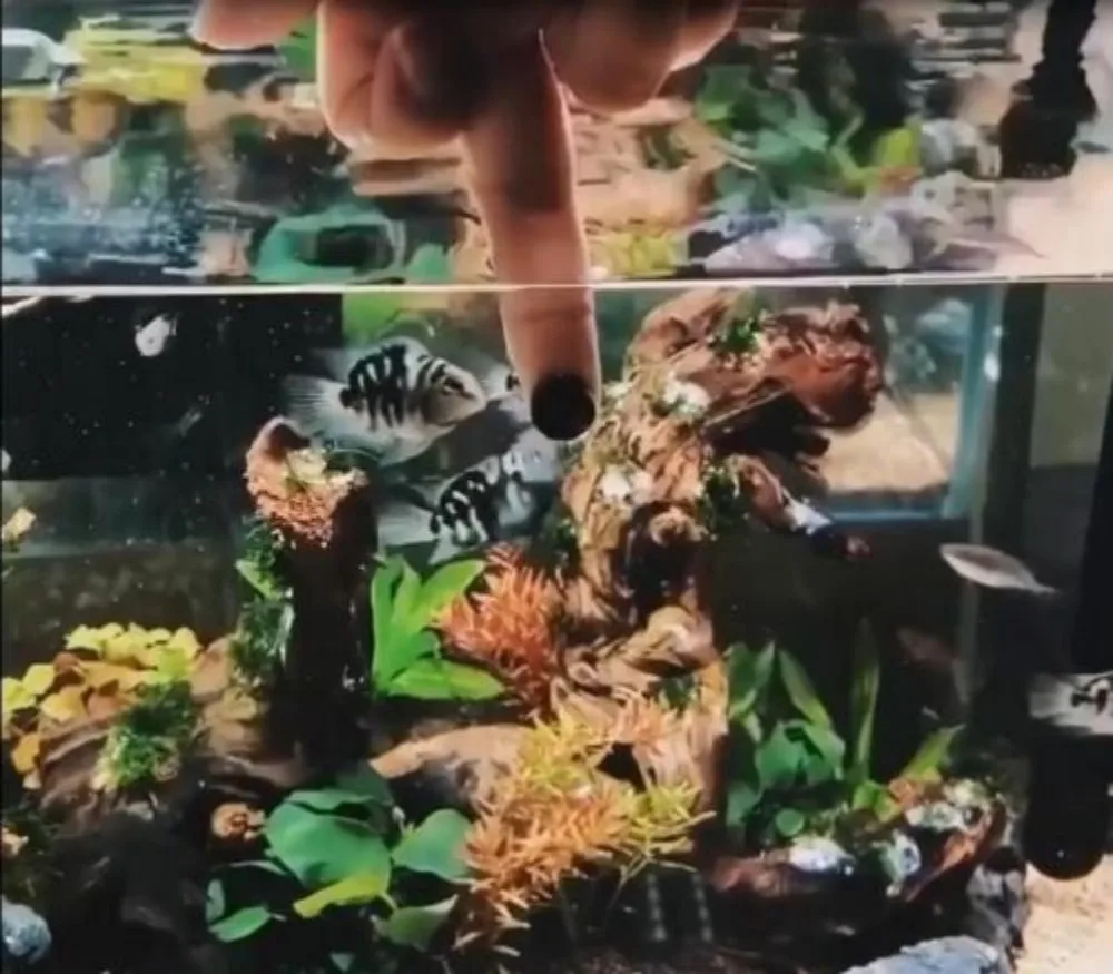 Página inicial da loja Produtos Avaliação