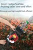 Two-Stroke Gasoline Double-Blade Light Hedge Trimmer Tea Tree Trimmer Backpack Garden Thick Branch Trimmer Electric Tools 38CC 6