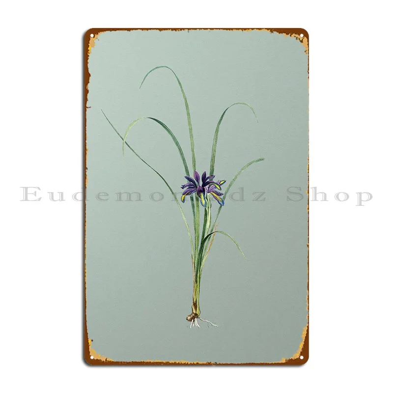 

Grass Leaved Iris On Green Metal Sign Wall Cave Wall Pub Printed Club Tin Sign Poster
