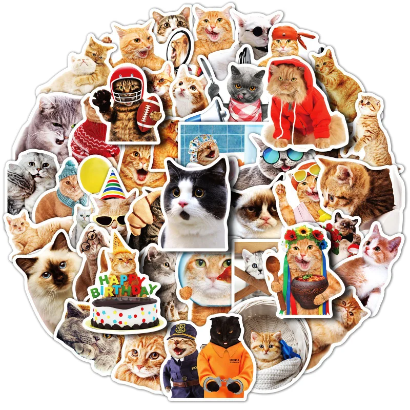

10/25/50pcs Funny Lovely Cat Stickers Portrait Animal Decals for Pad Phone Luggage Water Bottle Scrapbook Bicycle Laptop