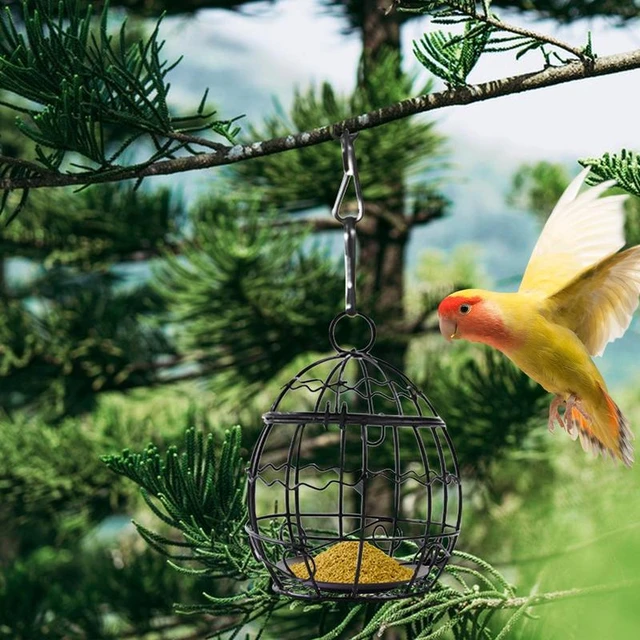 Mangeoires À Oiseaux Pour L'extérieur, Mangeoire À Oiseaux