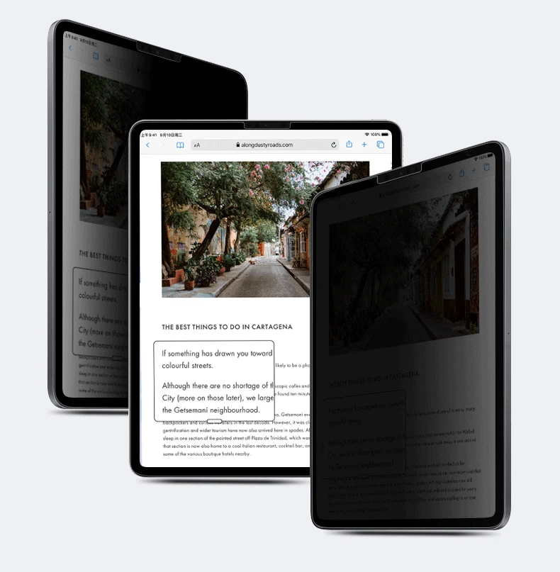 Privacy Screen Protector PET Film for iPad Pro 11 - Anti-Spy Shield