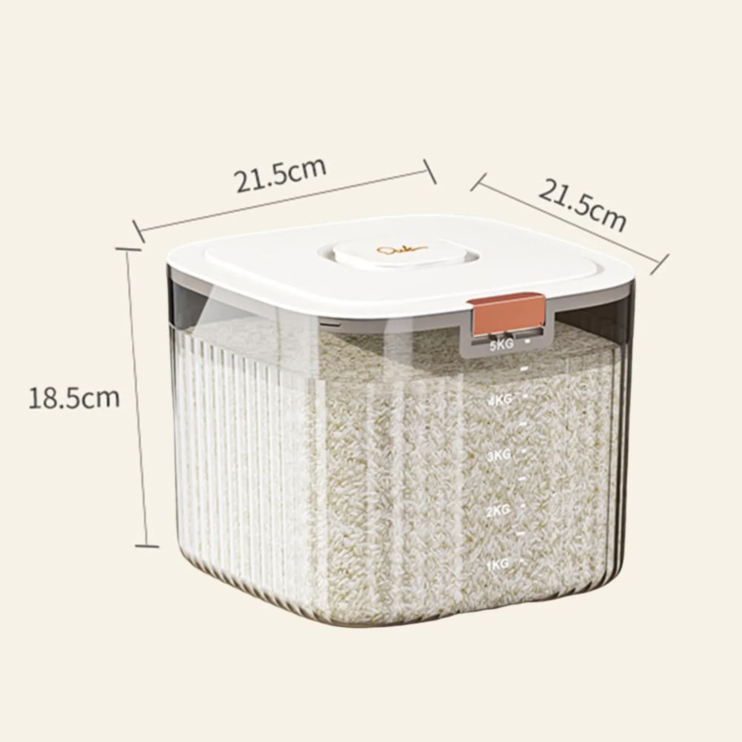 Transparent Grain Food Bucket Household Large Capacity Cube Shape Rice Bucket Double Silicone Sealing Leakproof Rice Organizer