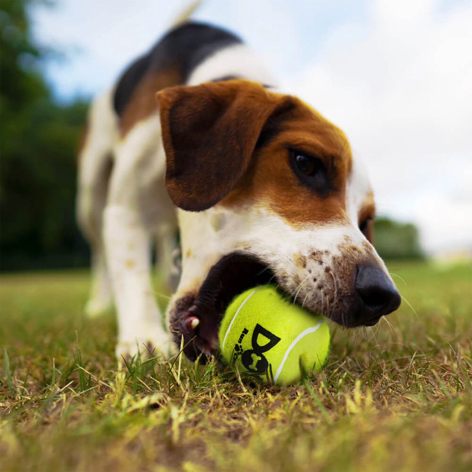 4~12 Pcs Squeaky Tennis Balls for Dog Toy, 2.5'' Small or Medium Breed Dogs Traning Easy Fetching Balls Highly Bouncy