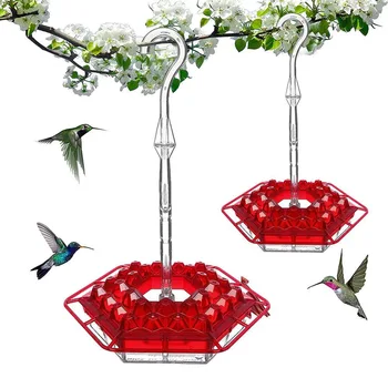 Mary's Hummingbird Feeders, 퍼치 및 내장 개미 해자, 야외 공간, 아름다운 벌새