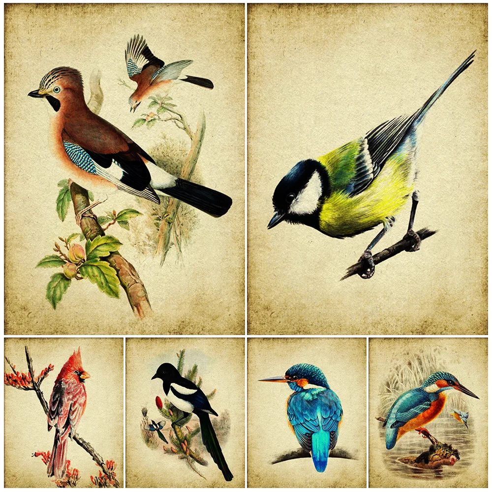 

Rose Ringed Parakeet,Sparrow,Robin,Vintage Wall Art Canvas Painting Rustic Bird Home Decor,Natural History Art Poster Print