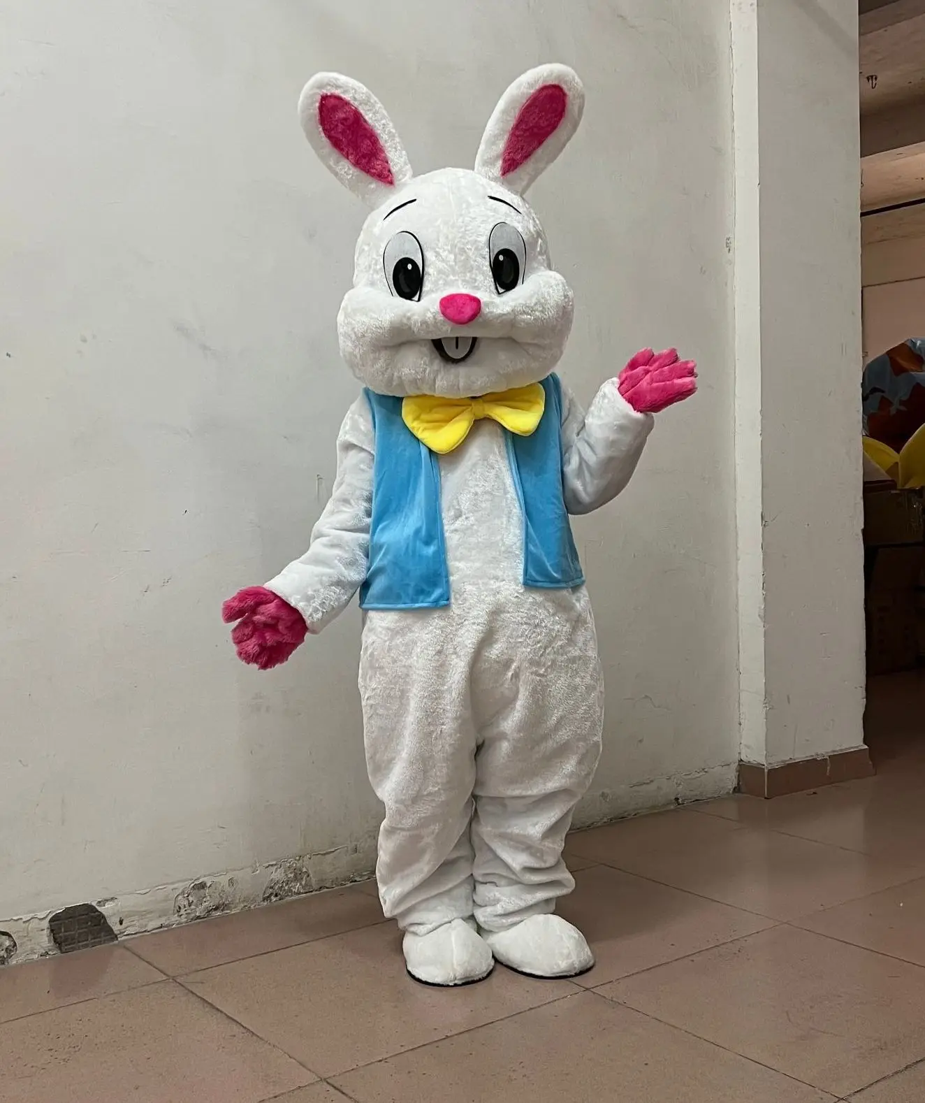 Pâques Lapin Mascot Déguisement Animal Taille Adulte Dessin Animé Cosplay