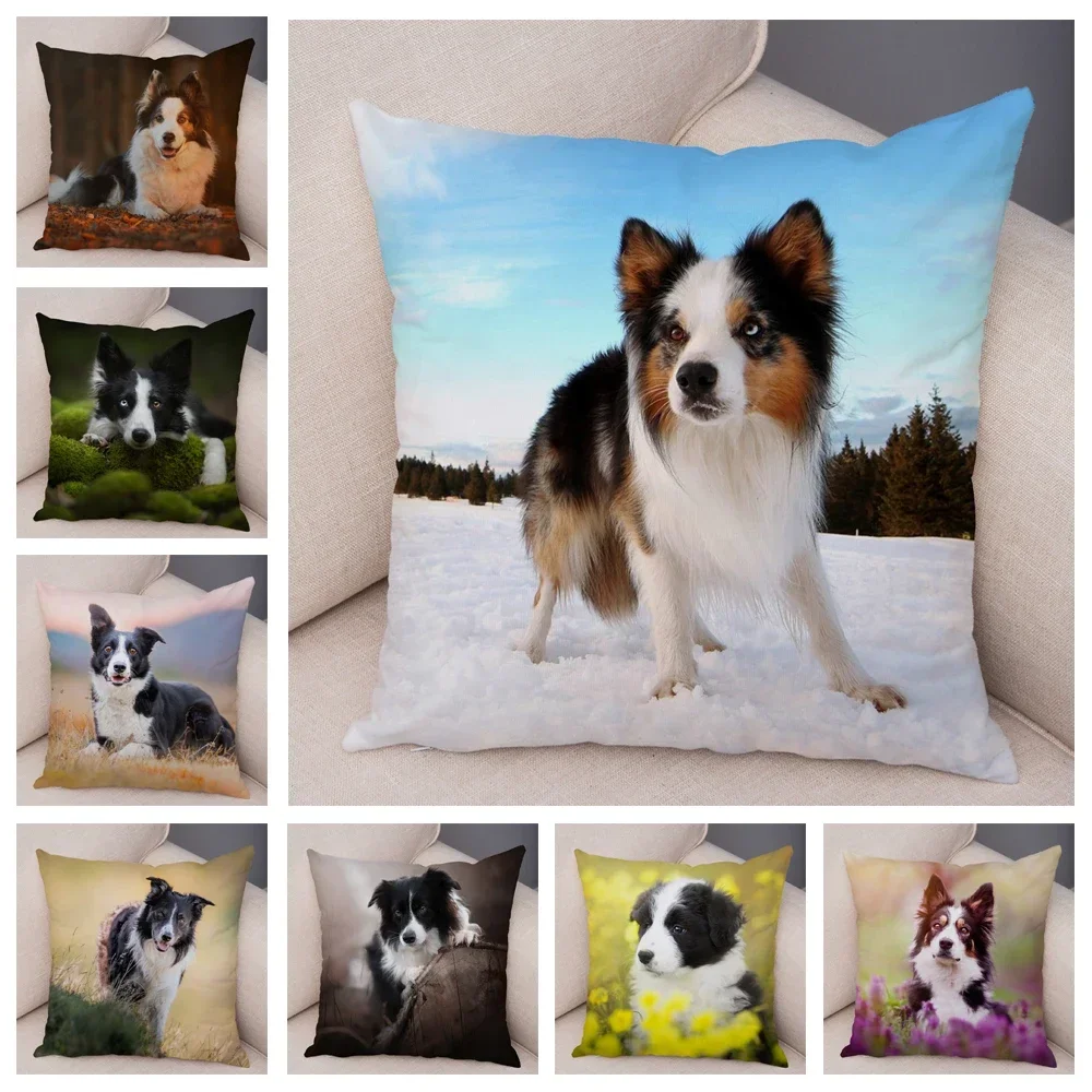 

Cute Pet Animal Cushion Cover Scottish Border Collie Pillowcase Dog Printed Sofa Stroller Customizable