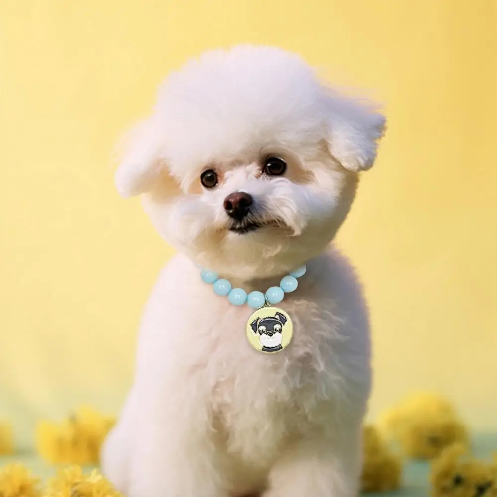 Bright Colored Pet Collar Beaded Pet Necklace Stylish Collar for Small Dogs Non-fading Pearl Jewelry for Daily Dressing Outings