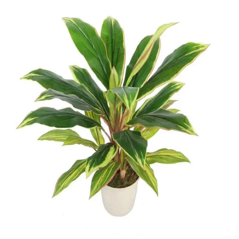 

Green and Red Artificial Dracaena Plant in a Cream White Pot