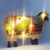 Sheep With light