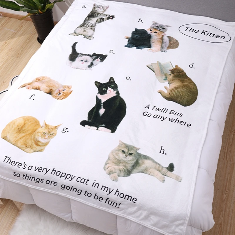 ��Ƽ�� �ö��� ���� ������ ���� �񵵸� ����� ������ Ÿ��, �繫�� Ȩ ���� ��ǰ