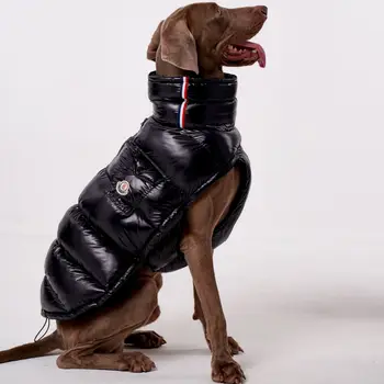 Large Dog Winter Down Coat 1