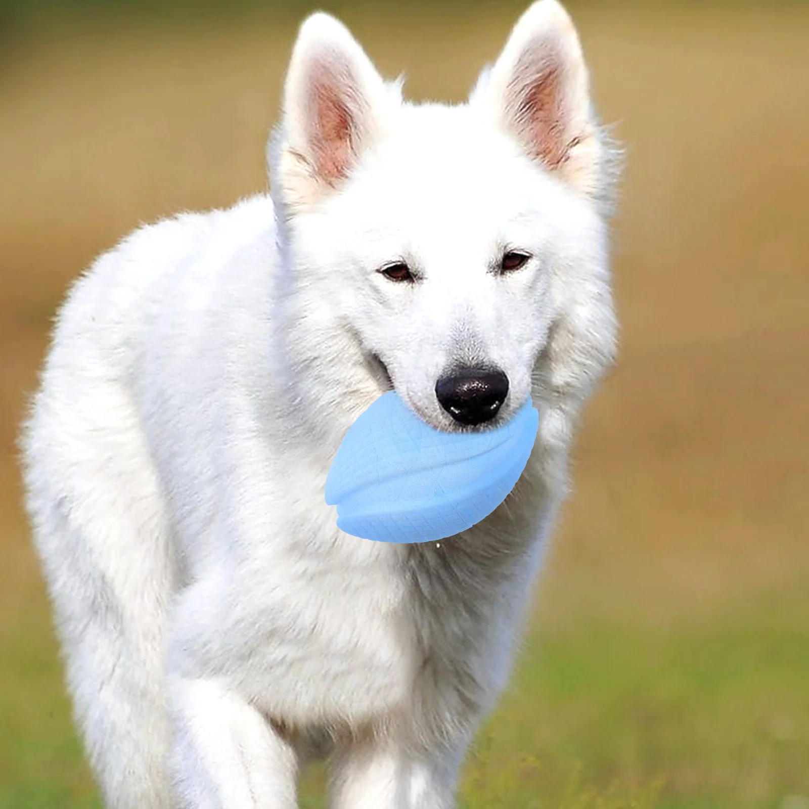 

Small Dog Toys Teething Pets Accessories for Dogs Chew Puppy Plaything Puppies Funny