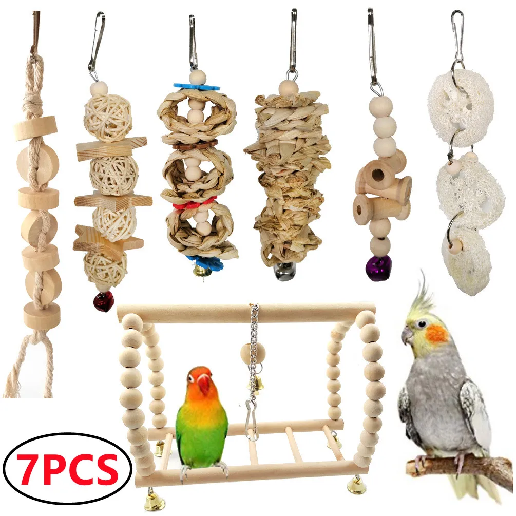 Bird Enrichment Toy Set with Swing, Chew, and Climb Accessories