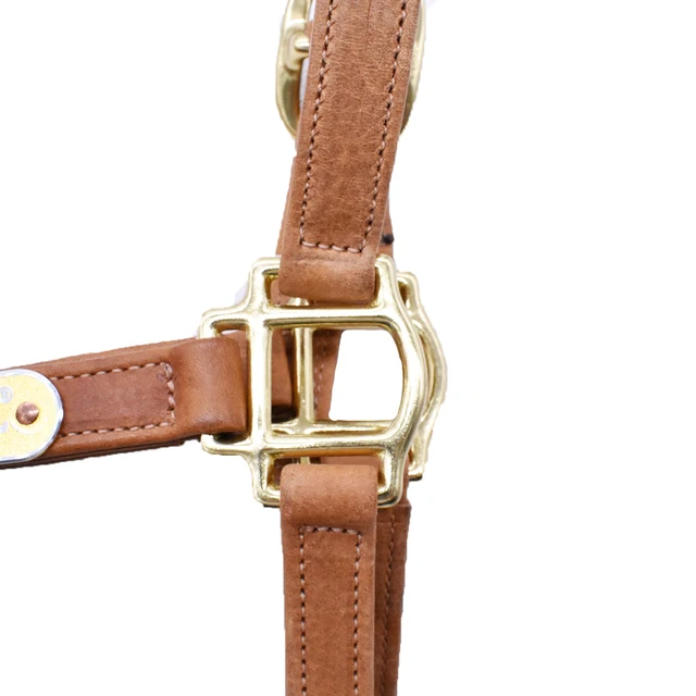 Horse Halters Horse Equipment Double Layer Leather Brass Fittings Halter 6