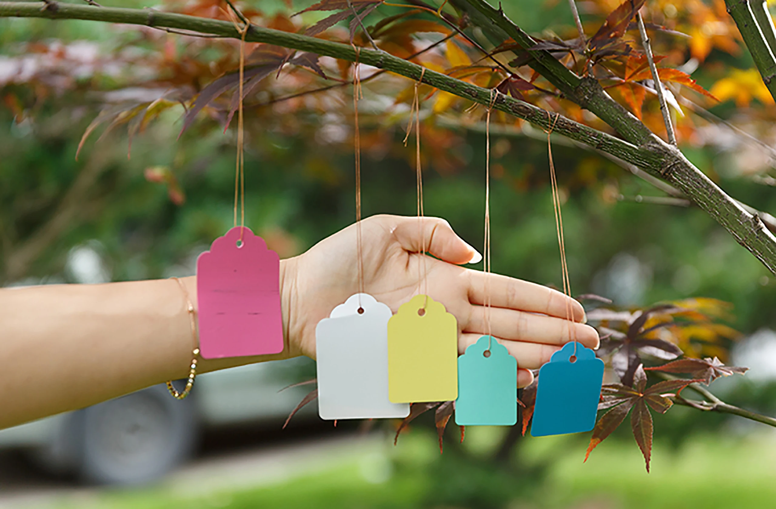 Plant Hanging Label plant tags Waterproof Flower Vegetable Seedling Succulent Tree Waterproof Marker Tag 3.5x5cm 5x6.9cm Garden Tool 100Pcs